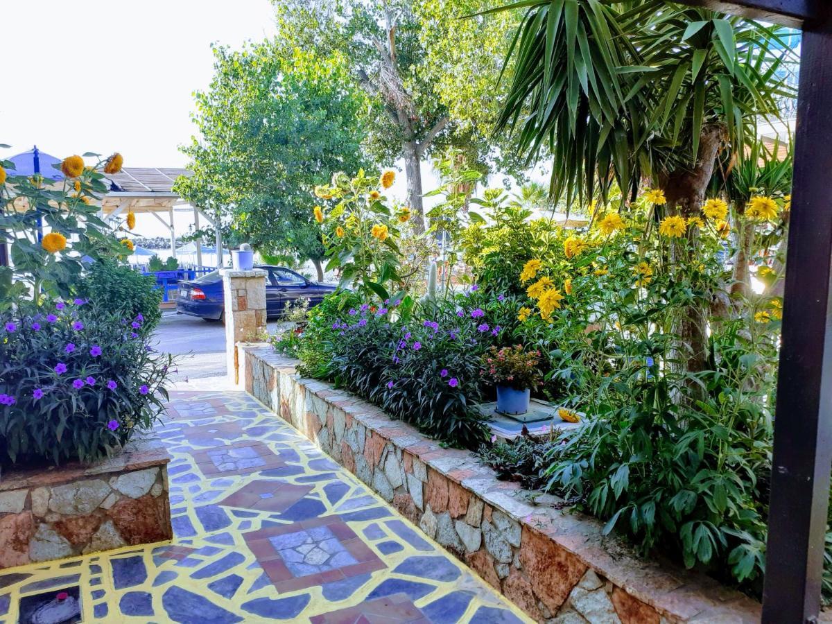 Apartament Medusa *