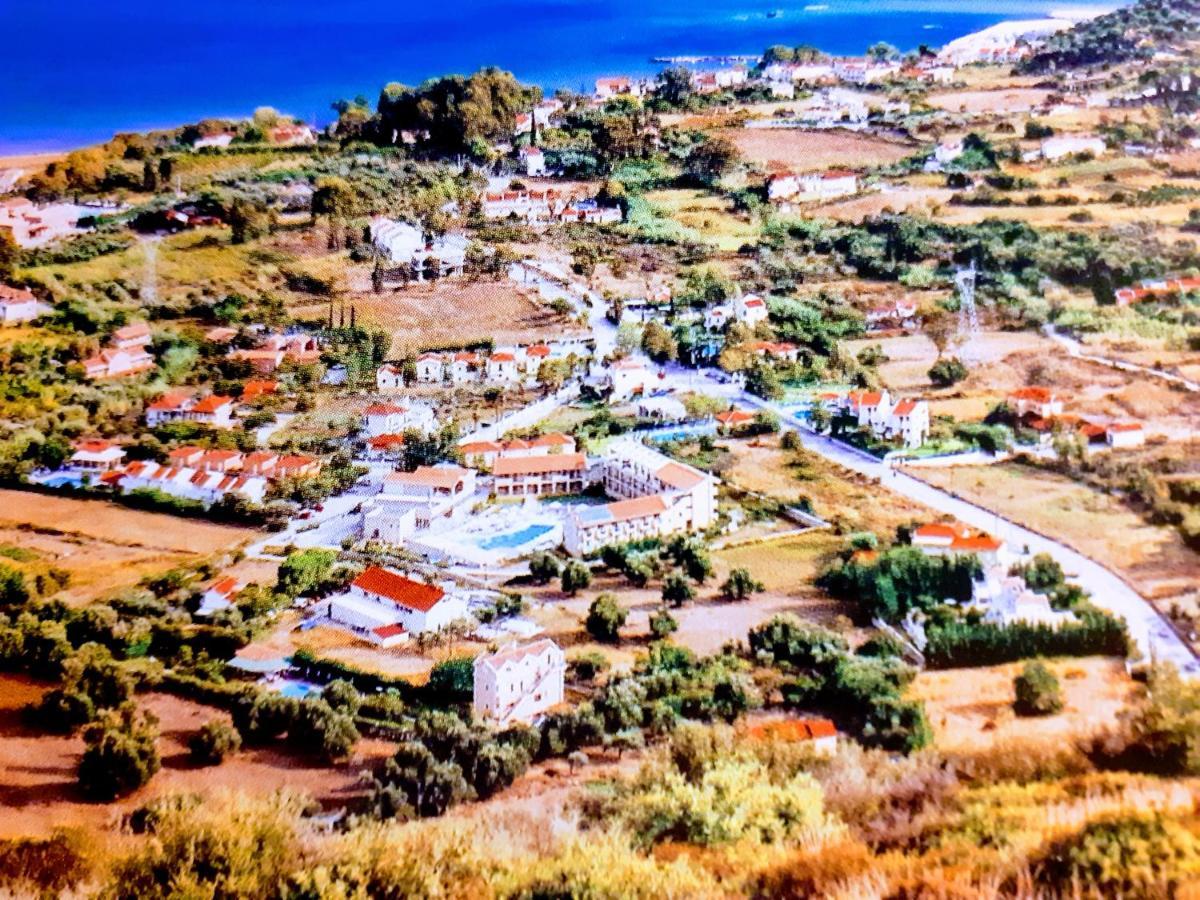 Medusa Apartament *