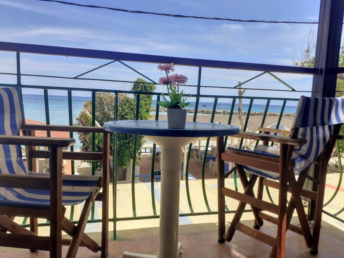 Medusa Apartament *